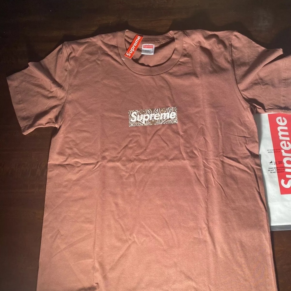 Supreme bandana tee ~ BROWN ~ SIZE L